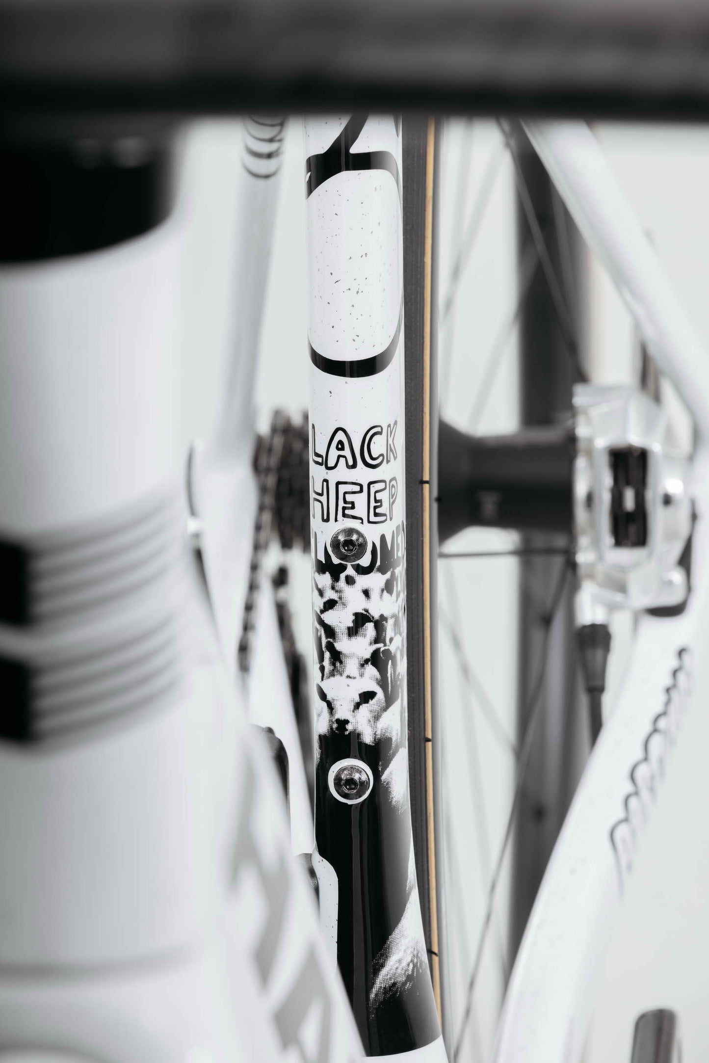 Close-up of a Haro Bikes Partimos Carbon Custom "Black Sheep" frame, sheep graphic partly obscured by bike components.