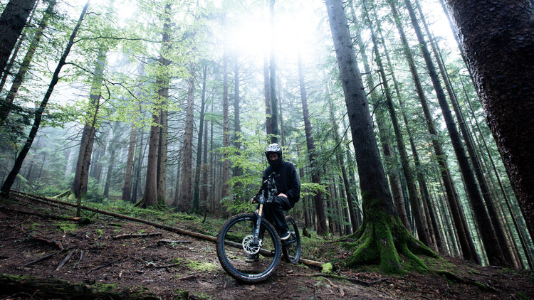 A person wearing a helmet rides a mountain bike on a forest trail surrounded by tall trees, with sunlight streaming through the branches above.