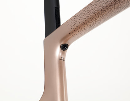 Close-up of the Rivette Carbon 2 by Haro Bikes shows a bronze race-ready frame with subtle black dot patterns and seamless internal cable routing. A high-pitch carbon fiber component is angled near a 6 Nm Torque label by a bolt, set against a plain white background.