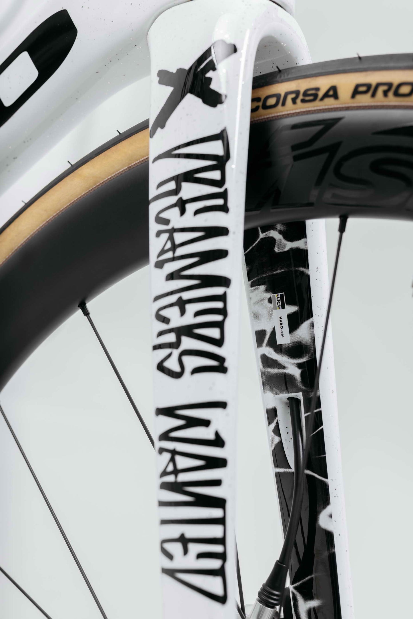 Close-up of a white Haro Bikes Partimos Carbon Custom "Black Sheep" fork with text, plus part of a Pirelli Corsa Pro tire shown.