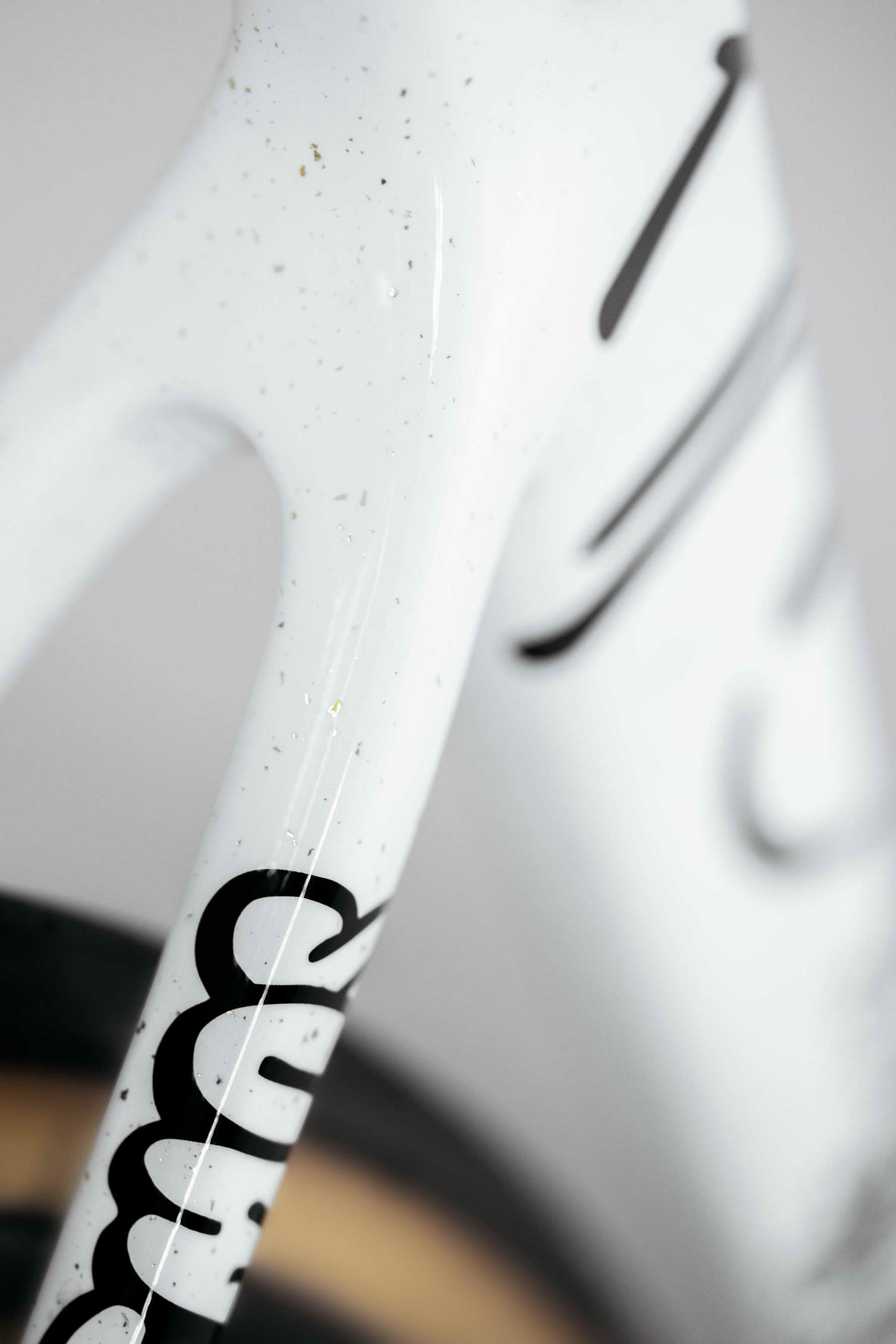 Close-up of Haro Bikes Partimos Carbon Custom "Black Sheep" frame, black text; blurred tire in background.