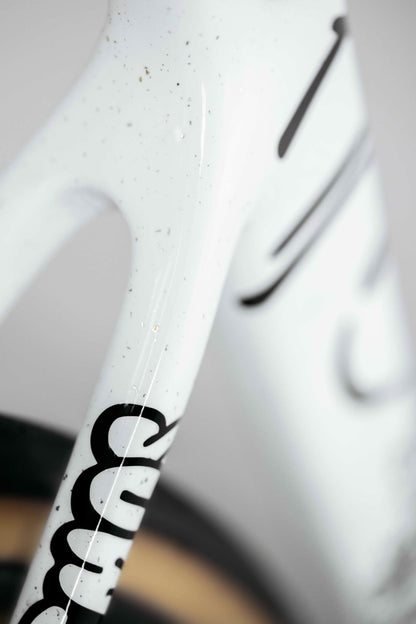 Close-up of Haro Bikes Partimos Carbon Custom "Black Sheep" frame, black text; blurred tire in background.