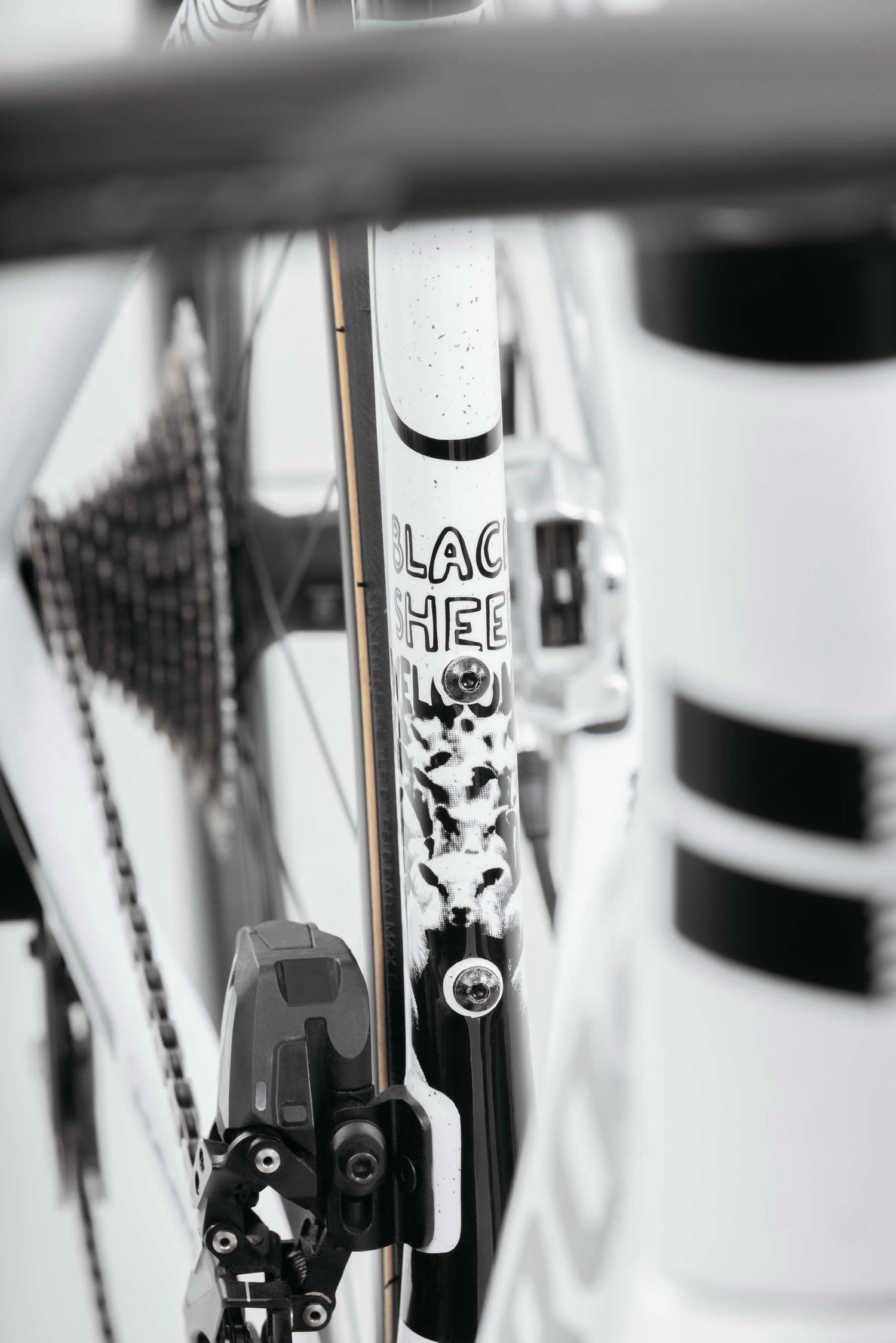 Close-up of Haro Bikes Partimos Carbon Custom "Black Sheep" frame with graphics, chain, gears, and rear wheel visible.