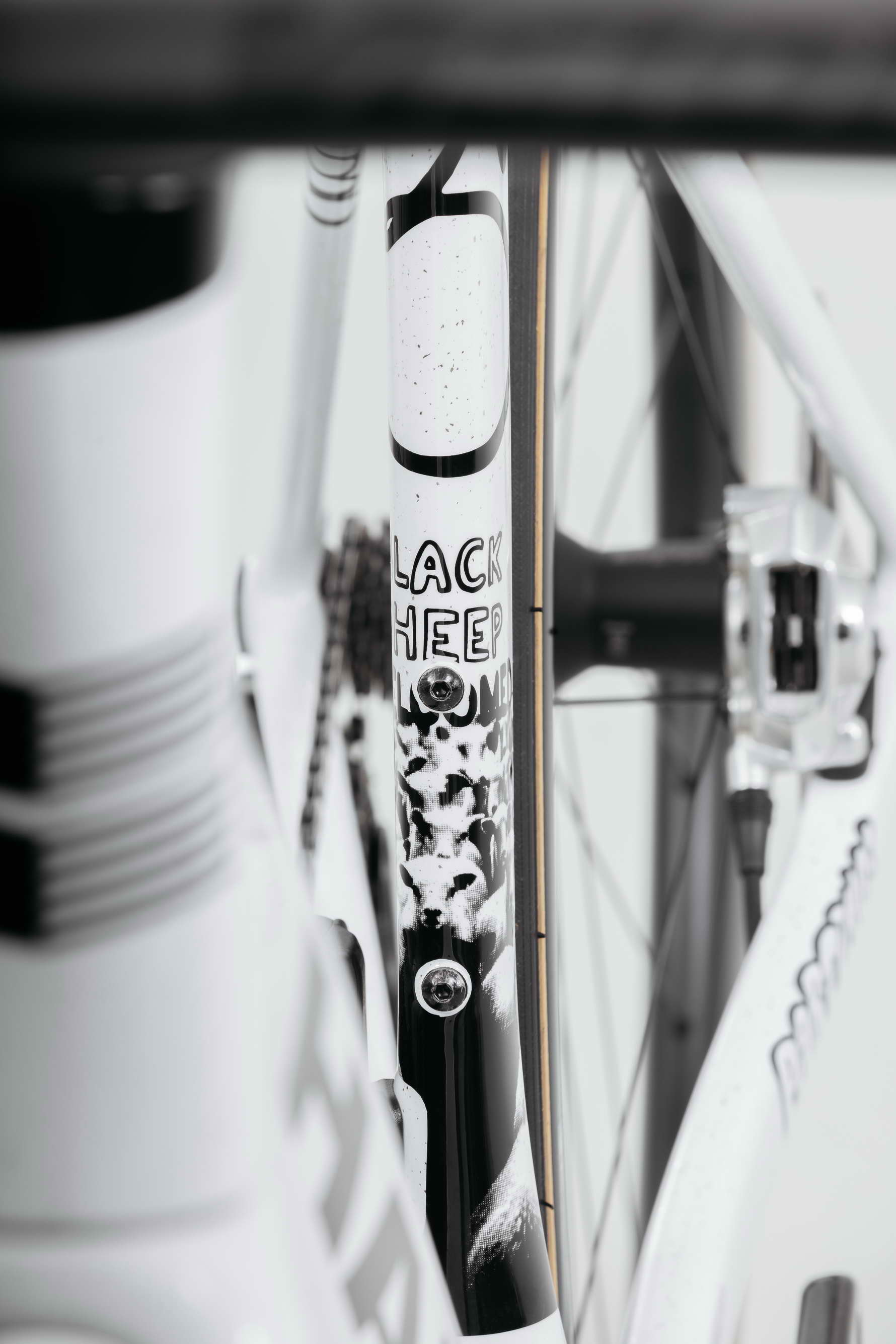 Close-up of a Haro Bikes Partimos Carbon Custom "Black Sheep" frame, sheep graphic partly obscured by bike components.