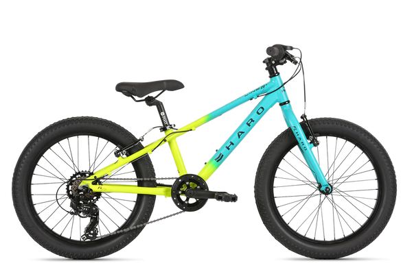 2021-Haro-MTB-FL-20-Plus-Matte 
